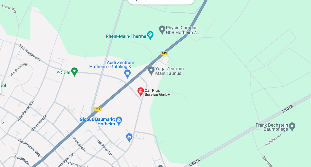 Google Maps placeholder image